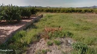 Finca rústica a Rafelguaraf. Huerta de regadío, uso recreativo