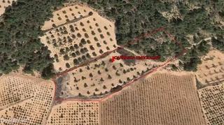 Propriété à Venta del Moro. Finca de olivos y pinar cerca del pueblo