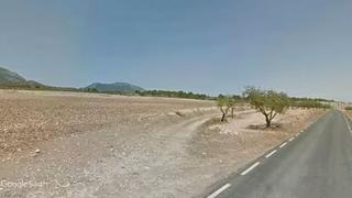 Finca rústica a San Cristóbal - San Diego. Finca de labor y monte, para recreo