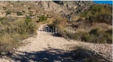 Foto f34fbf56-92d5-4d99-bb76-a1dbf13d5815. Terreny residencial a Abanilla