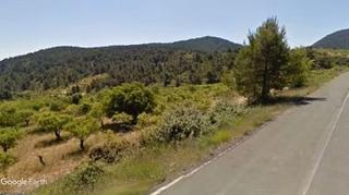 Finca rústica a Mula. Finca de almendros para recreo