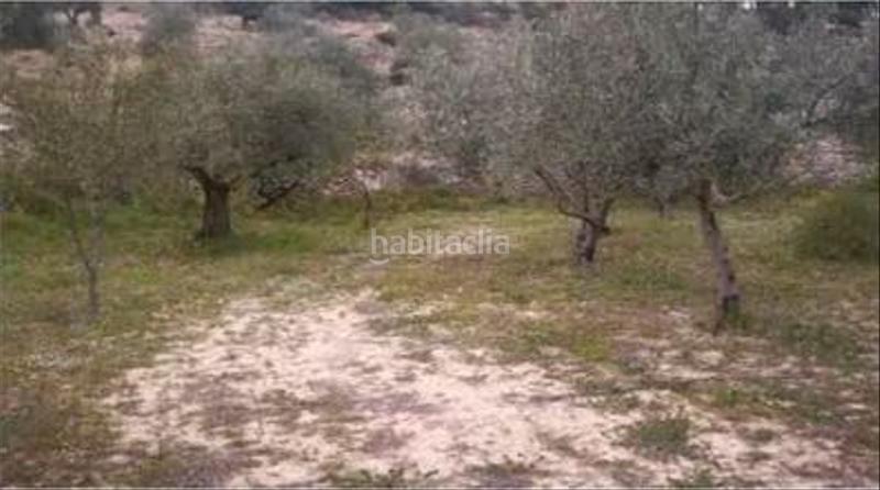 Foto cebecc88-b68a-42c0-9b4b-fea24c3a6f6f. Finca rústica a Torre de les Maçanes (la)