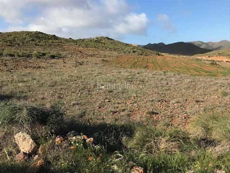 Foto 3403d4e9-a0a2-4947-8fb1-cc3f37543da4. Fondo rustico in Nijar Pueblo Níjar