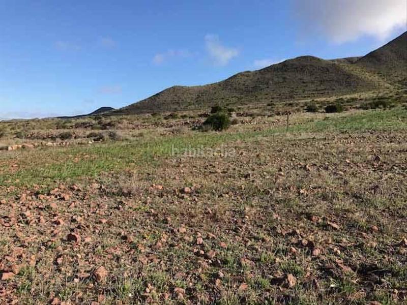 Foto 99a28c1c-c27e-4af6-af5e-35ff3099cfdf. Fondo rustico in Nijar Pueblo Níjar