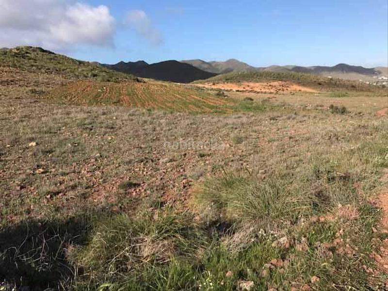 Foto a6be8e70-7b05-4232-a20b-618fc08b843e. Fondo rustico in Nijar Pueblo Níjar