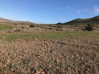 Propriété à Nijar Pueblo. Finca para uso recreativo, ganadero