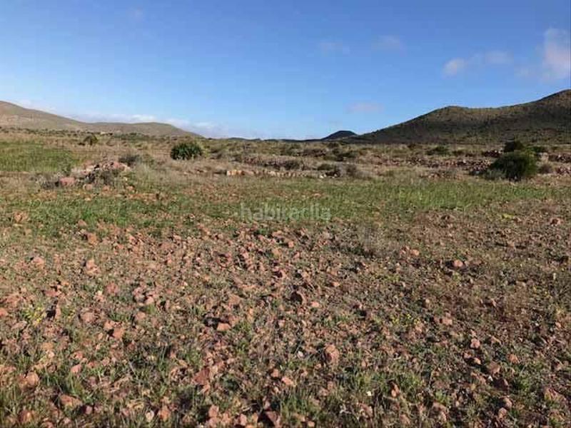 Foto b9bd089a-34ca-4a77-beb6-a709ef0e777c. Fondo rustico in Nijar Pueblo Níjar