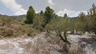 Finca rústica a Benillup. Parcela con olivar, opción caseta aperos