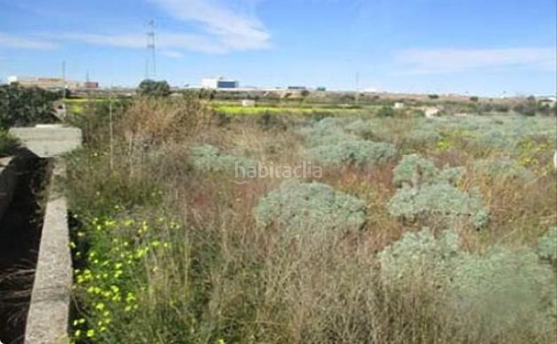 Foto a44a3636-16f3-40c2-b641-232f72c7369c. Finca rústica a El Pilar Villarreal / Vila - real