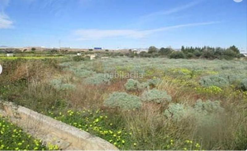 Foto b6ebfef4-7545-453a-bc4c-55dfb73bbba7. Finca rústica a El Pilar Villarreal / Vila - real