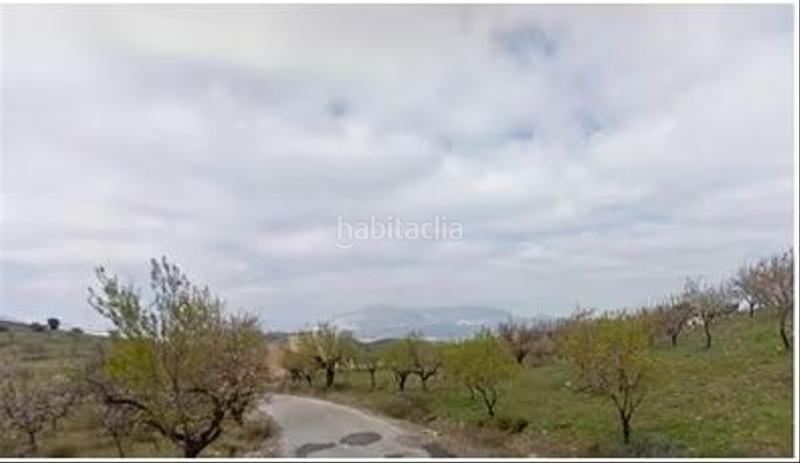 Foto bc067cd5-f32d-45f7-a718-a2ad12970377. Finca rústica en Vélez - Rubio