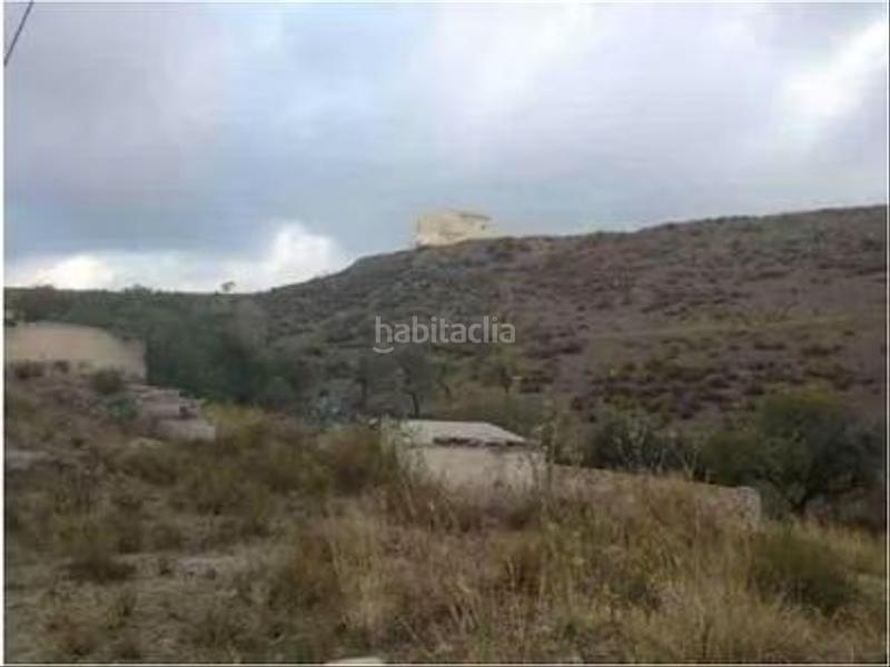 Foto 6984b840-9c64-4f34-8dd0-0c7b8bdbf0af. Finca rústica a Vélez - Rubio