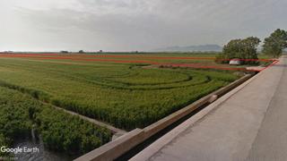 Finca rústica a Albalat de la Ribera