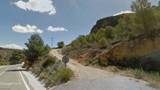 Finca rústica a Bédar. Parcela para animales, frutales, recreo