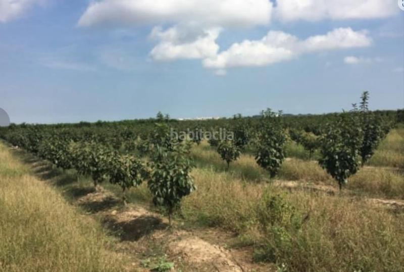 Foto 66d4c1ad-0cb9-46e2-b5f8-2a4c28297e55. Finca rústica a Sollana