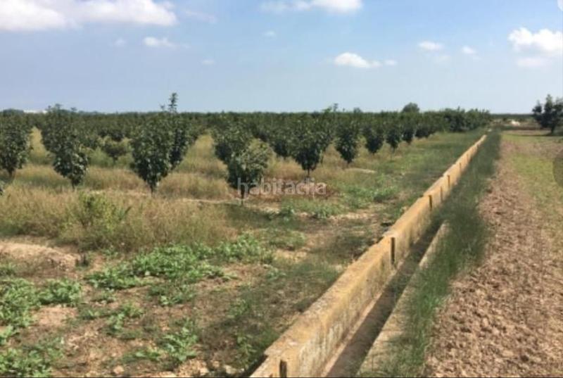 Foto b28cecc8-5af3-426f-9fc0-351b9d2a5308. Finca rústica a Sollana