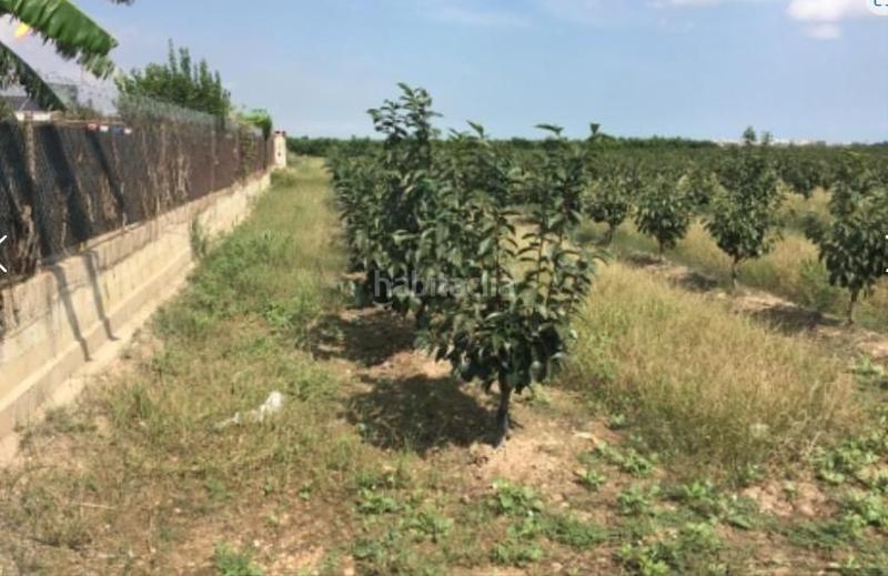 Foto bf2f66f9-20e1-4749-bc7e-f81a5e219712. Finca rústica a Sollana