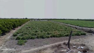 Finca rústica a Almenara. Parcela regadío, opción caseta de aperos