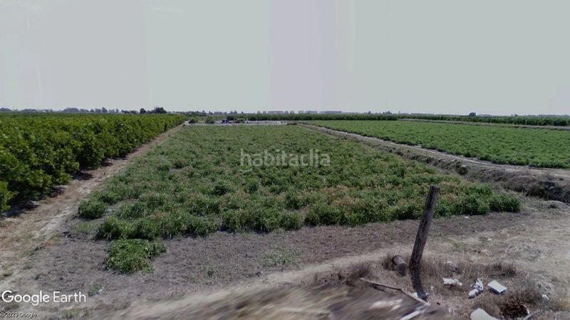 Foto 8a4e5931-ec1f-4a4e-80ea-d7c6f62df7ea. Fondo rustico in Almenara