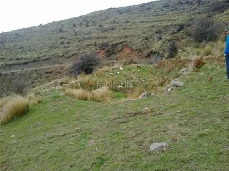 Foto c5b4ef3a-a80d-437c-a598-7d899b1aa53b. Finca rústica finca para horticolas y aromaticas en Láujar de Andarax