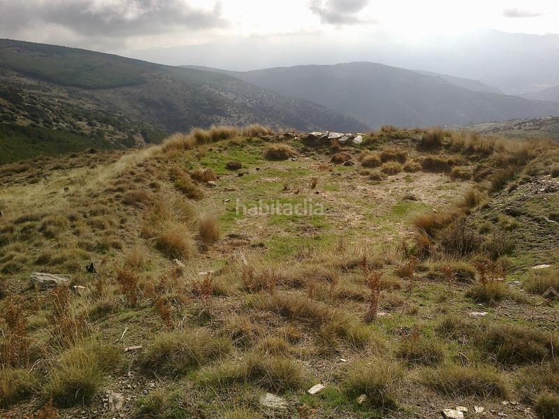 Foto 746ecab8-a91d-4736-961d-82e5e75c0ae2. Finca rústica a Láujar de Andarax