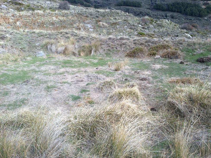 Foto c64e73b8-f7df-4fb6-89c2-a59837ccea1a. Finca rústica a Láujar de Andarax