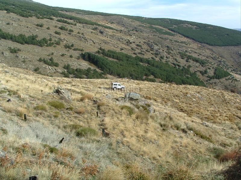 Foto d4fcf67b-7d14-4c20-9f5c-6292edb4d172. Finca rústica a Láujar de Andarax