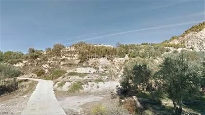 Foto f44b6625-d48a-4b59-afa6-38f0e719fb10. Finca rústica a Alcolea