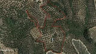 Finca rústica a Alcolea del Río. Olivar y nave junto embalse la quinta