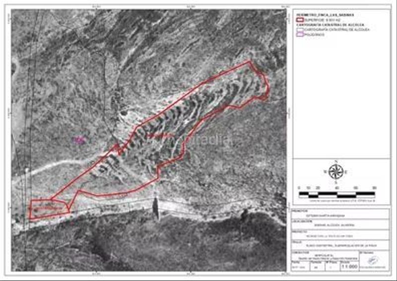 Foto 00a1ccd2-fe7e-4c05-85ea-a2d0ff90c61a. Finca rústica a Alcolea