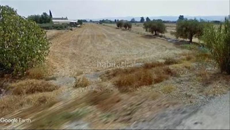 Foto 808f4c32-1b88-47f1-af3b-8c6f3d4b9e2a. Finca rústica a San Cristóbal - San Diego Lorca