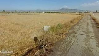 Finca rústica a San Cristóbal - San Diego. Huerta para invernadero
