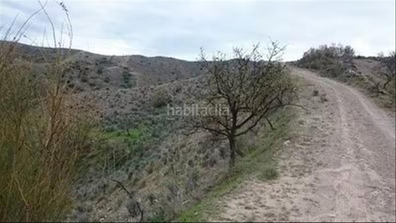 Foto 20d3b969-d40a-4b35-8445-79e739c778e6. Finca rústica almendros y olivos en secano en Cantoria