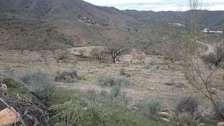 Finca rústica a Cantoria. Almendros y olivos en secano