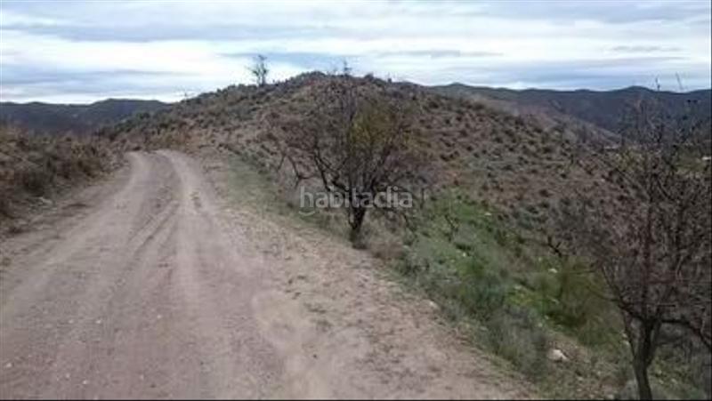 Foto ad44ba89-6de8-40dd-a0b7-e8345e42c08a. Finca rústica almendros y olivos en secano en Cantoria