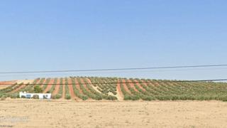 Propriété à Valdepeñas. Finca de olivar