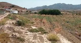 Propriété à Cuevas del Almanzora Pueblo. Finca para hortalizas, uso recreativo