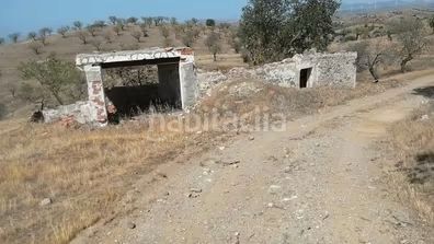 Foto a9de1dda-6838-4d12-8974-9d2a3185b95c. Finca rústica a Huércal - Overa