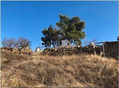 Foto dfddb731-adb5-4494-851d-8e147452d191. Finca rústica a Huércal - Overa