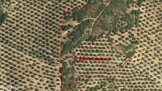 Finca rústica a Arroyo Del Ojanco. Finca de olivar