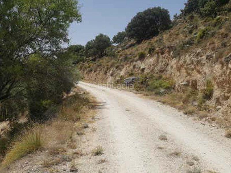 Foto 03fb4d67-df18-45d5-a422-c4c899ee8e65. Finca rústica finca de olivar de secano en Huelma