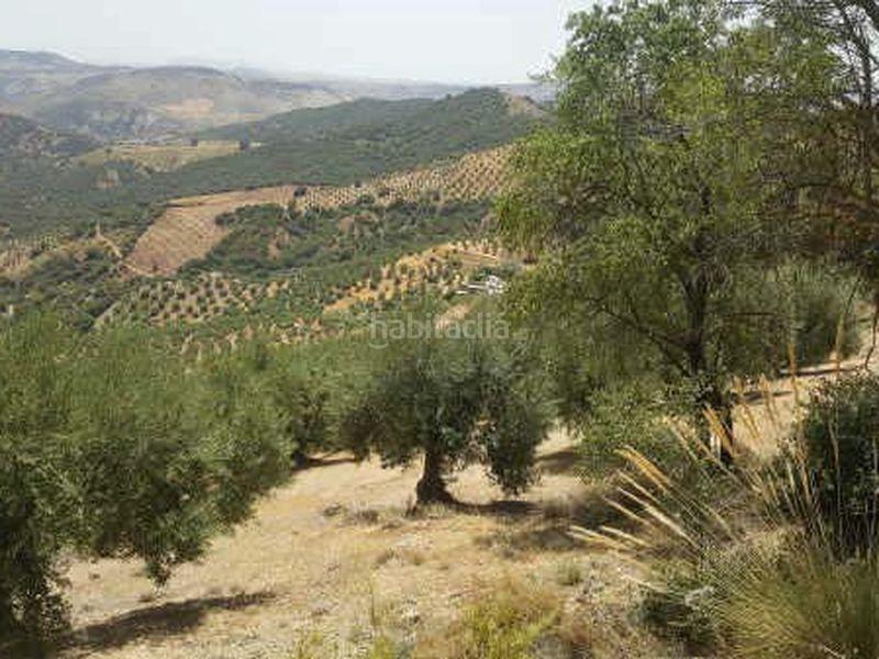 Foto 91d0fcd0-17ce-4196-b492-5ee77dff5828. Finca rústica finca de olivar de secano en Huelma
