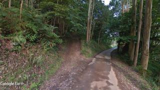 Rural plot in Villaviciosa - Amandi. Prado natural