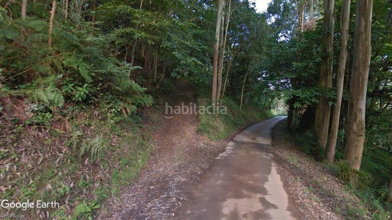 Foto b0ff39db-4ec2-48d8-a629-0764848ac146. Finca rústica prado natural en Villaviciosa - amandi Villaviciosa