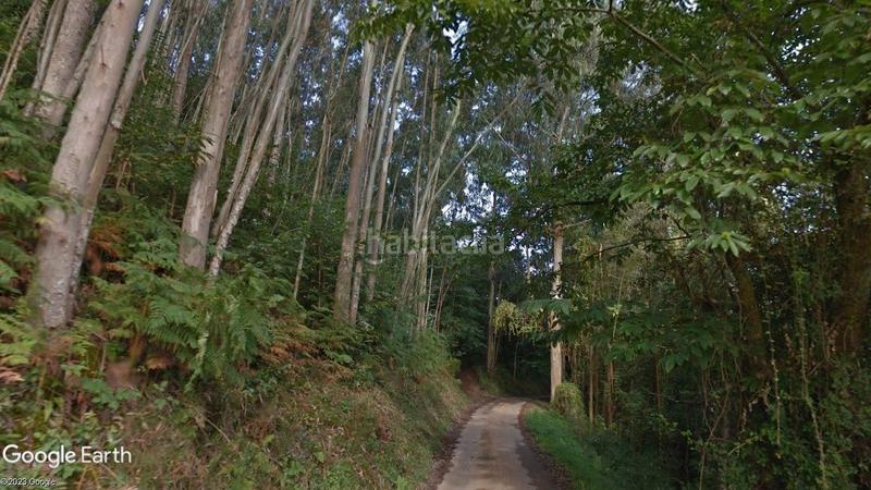 Foto c133935f-ccfc-4b65-90a4-61cb93e902f2. Finca rústica prado natural en Villaviciosa - amandi Villaviciosa