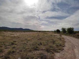 Finca rústica a Caravaca de la Cruz. Para almendros, frutales, opcion caseta