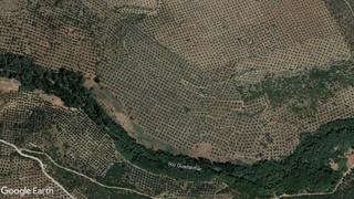 Finca rústica a Navas de San Juan. Olivar en la ribera del guadalimar