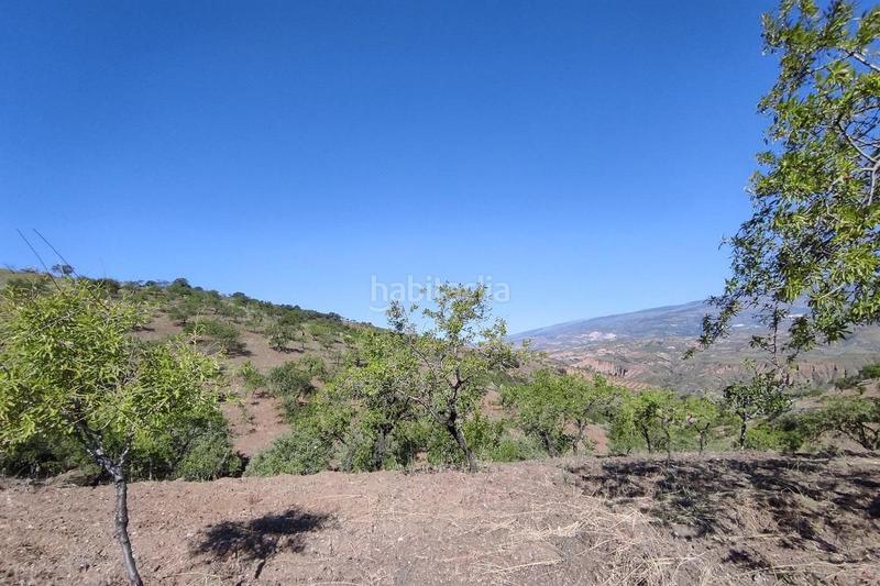 Foto 4c90a3e6-4b85-4e65-8070-fd9b54180805. Finca rústica finca de almendros de secano en Ugíjar
