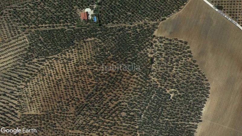 Foto 4973bfa7-4b2d-47a8-b27d-6eb9413ed5c0. Fondo rustico in Arahal