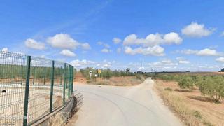Propriété à Arahal. Finca de olivos en regadío